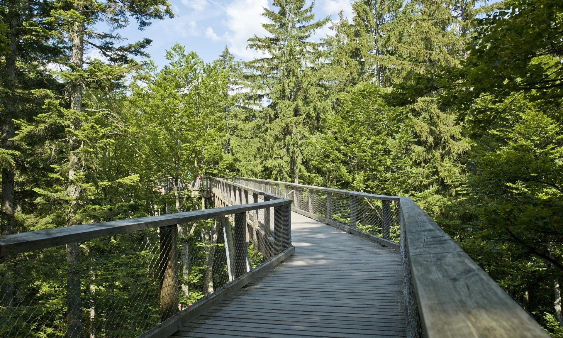 Aktivurlaub In Freyung-Grafenau Nationalpark Bayerischer Wald